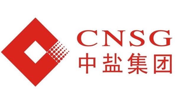 中标公告（中盐内蒙古化工金属锂铸项目大屏与工业视频监控系统安装工程）